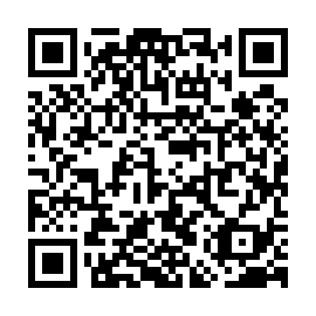 QR code for plate WEY 539