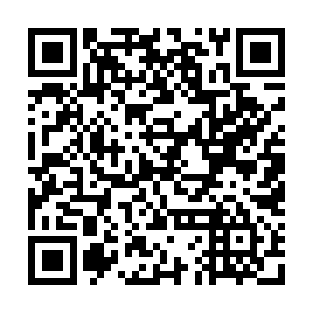QR code for WFE 595