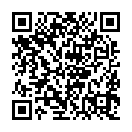 QR code for plate WFF 299
