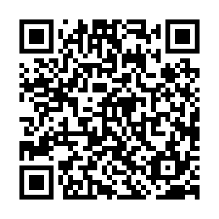 QR code for WFP 234
