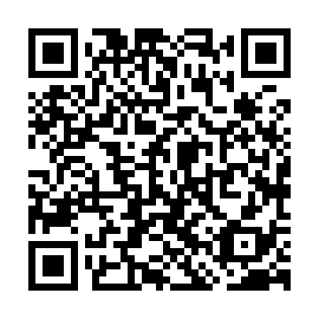 QR code for plate WFX 938