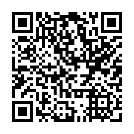 QR code for WGT 919