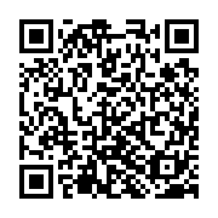 QR code for plate WHA 771