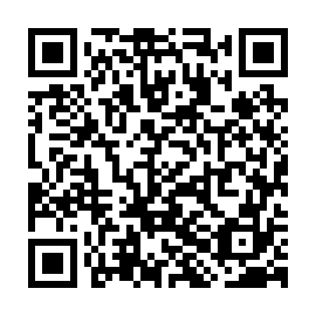 QR code for plate WHM 272