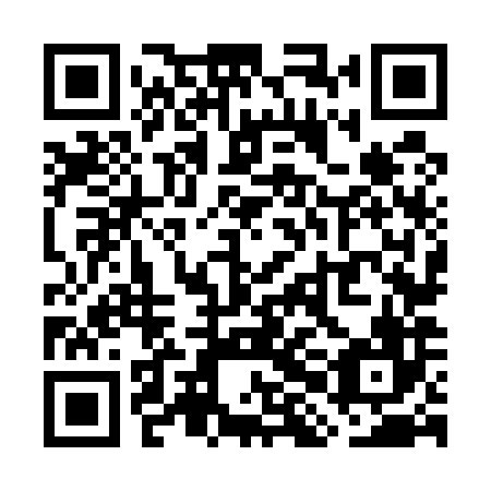 QR code for plate WHN 586