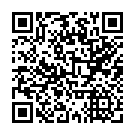 QR code for plate WHS 317