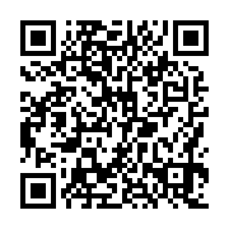 QR code for plate WHX 870