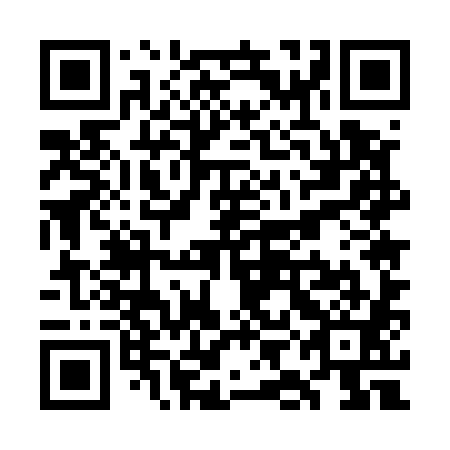 QR code for plate WIE 581