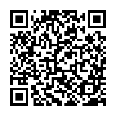 QR code for WIJ 382