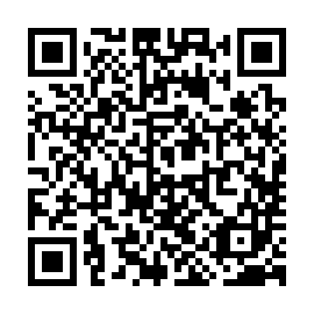 QR code for WIR383