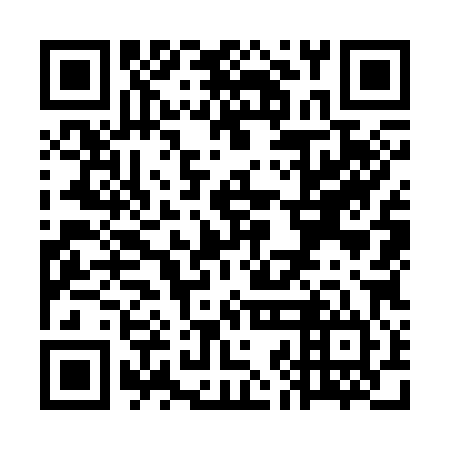 QR code for plate WJO 384