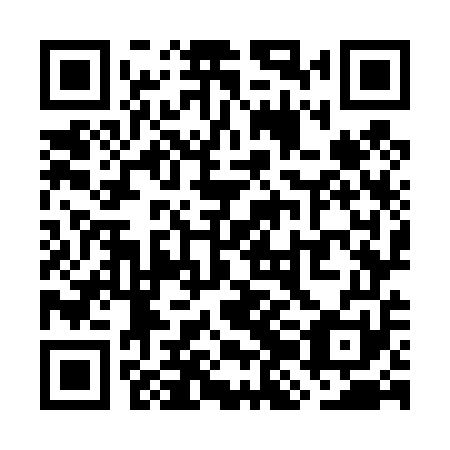 QR code for plate WJO 451