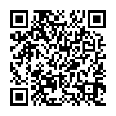 QR code for plate WKN 811