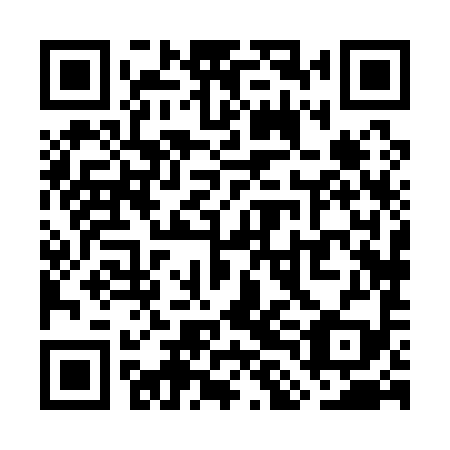 QR code for plate WLH 199