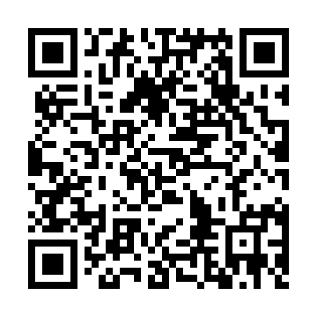 QR code for WLM 295