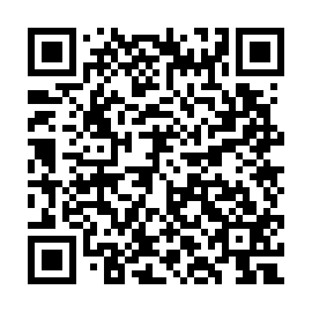 QR code for plate WLO 713