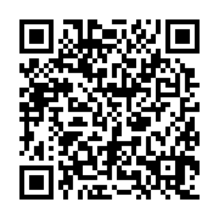 QR code for plate WMV 384