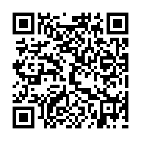 QR code for WNZ378