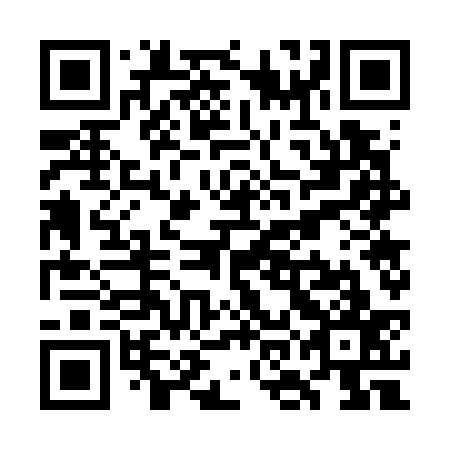 QR code for WOG 737