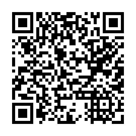QR code for WPE 397