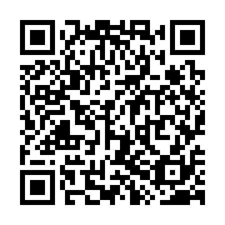 QR code for plate WPO 310