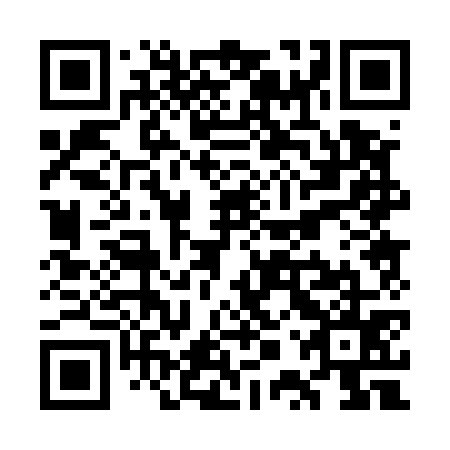QR code for plate WPP 575