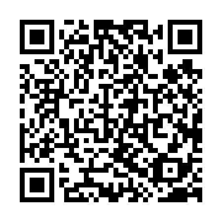 QR code for plate WPP 638