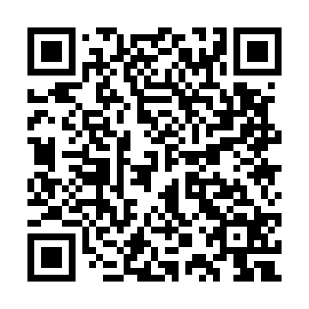 QR code for plate WPQ 524