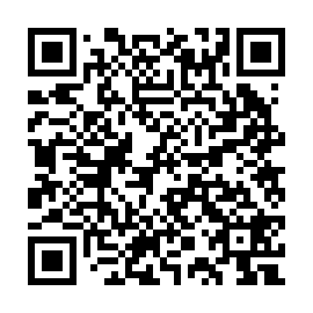 QR code for plate WPR 228