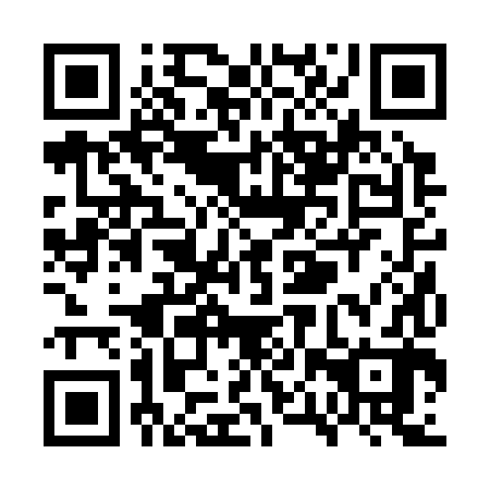 QR code for plate WPR 382
