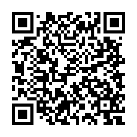 QR code for plate WPT 517