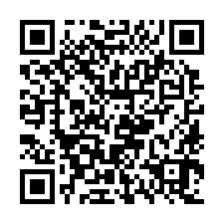 QR code for WQO 382