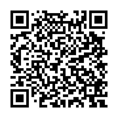 QR code for plate WQO 009