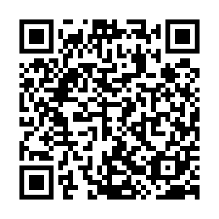 QR code for plate WRU 501