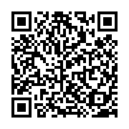 QR code for WSA 419