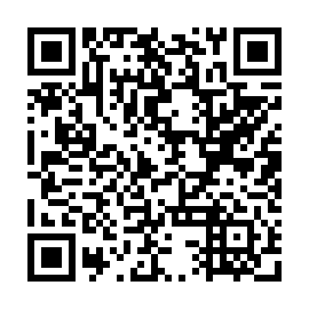 QR code for plate WSA 641