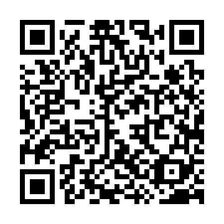 QR code for plate WSD 369