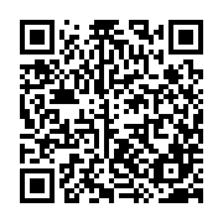 QR code for WSE 386