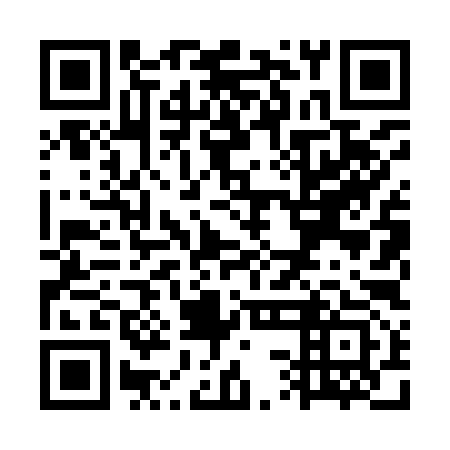 QR code for WSL 993