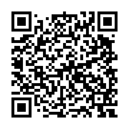 QR code for WSR 493