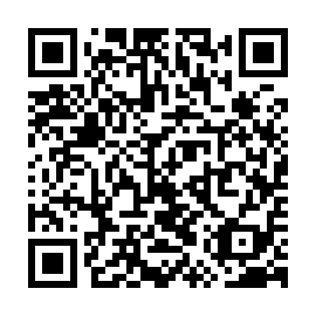 QR code for WUS 919