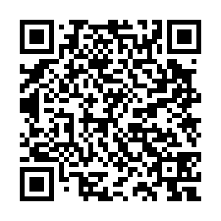 QR code for plate WVO 038