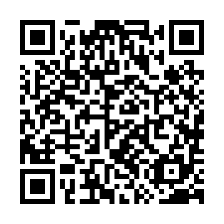 QR code for WWH 295