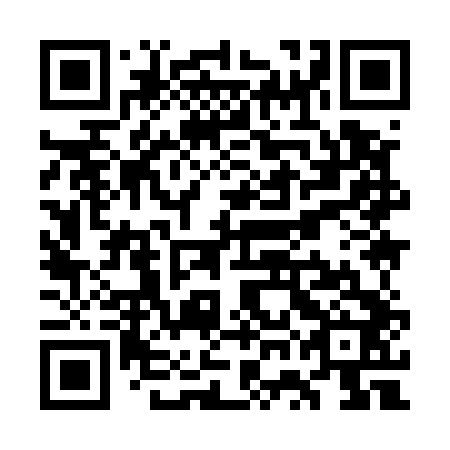 QR code for WWI 542