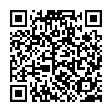 QR code for WWN 335