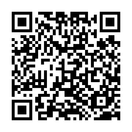 QR code for plate WXD 607