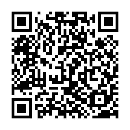 QR code for plate WXG 095