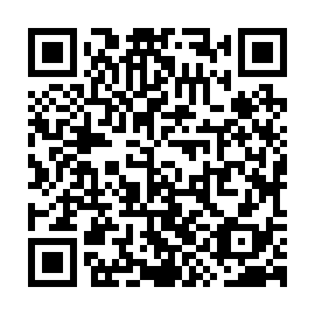 QR code for plate WYJ 238