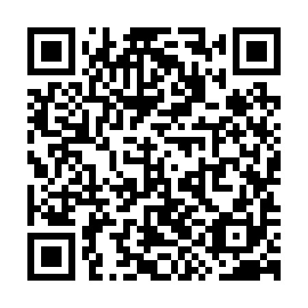 QR code for plate WYK 290