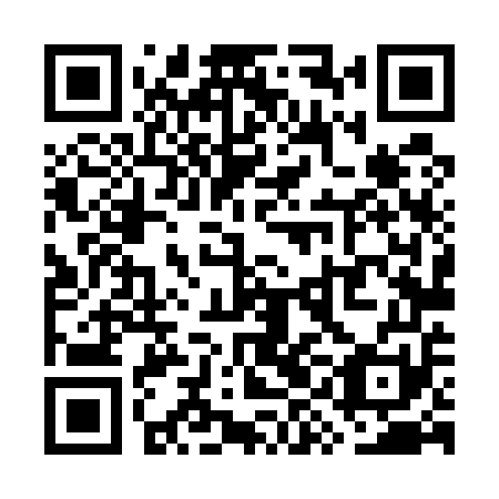 QR code for plate WYL 551